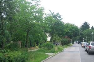 - Nähe Töpchiner Weg/ Gepfl. Doppelhaushälfte mit Vollkeller u.ausgebauten DG -