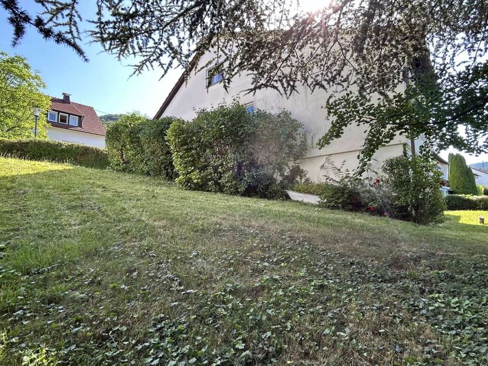 Gartenimpression 3