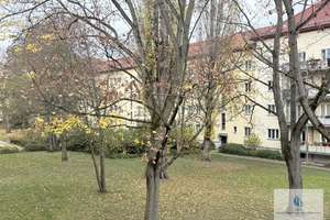 Renovierte 2-Zimmerwohnung in Prenzlauer Berg! – Die vollständige Adresse der Immobilie erhältst du vom Anbieter., 10409 Prenzlauer Berg, Berlin – Vorschaubild 7