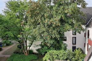 Eigentumswohnung im Dachgeschoss in Düsseldorf-Hellerhof im Bieterverfahren – Ingeborg-Bachmann-Straße 19, 40595 Hellerhof, Düsseldorf – Vorschaubild 2