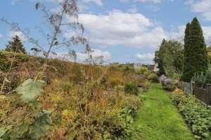 EFH in Neumünster: Großzügiger Garten mit Park-Charakter und Potenzial für Hinterbebauung – Neumünster – Vorschaubild 24