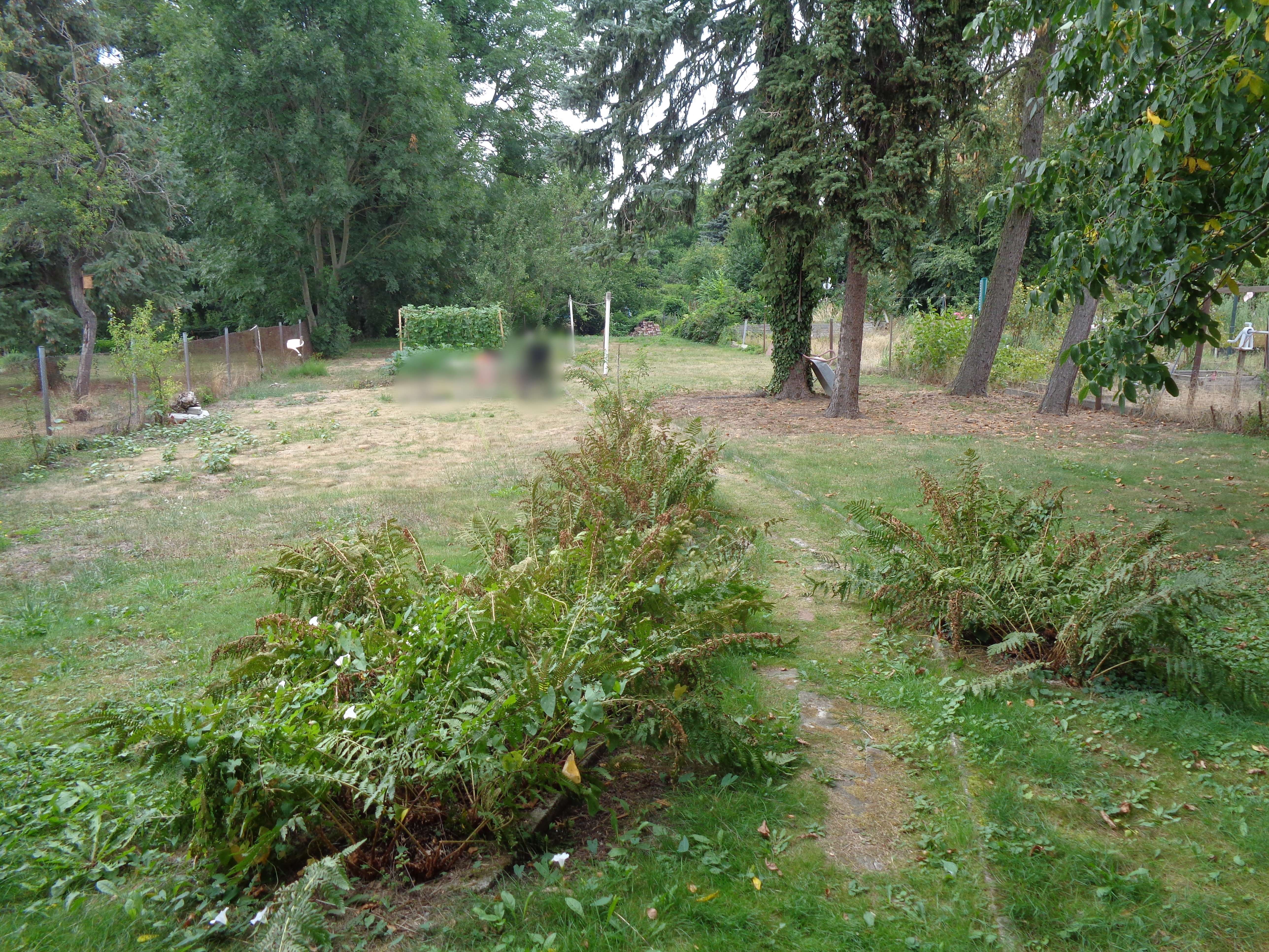 Kleiner Preis, großes Grundstück!!!, Dessau Roßlau – Bild 3