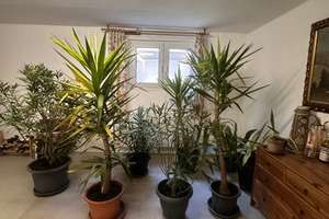 Property thumbnail 24