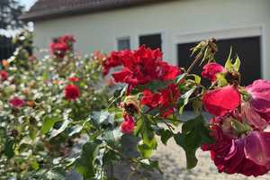 Mit herrlichem Weitblick! 
Großzügiges Einfamilienhaus in Freital-Weißig! – Sächsische Schweiz-Osterzgebirge (Kreis) – Vorschaubild 3
