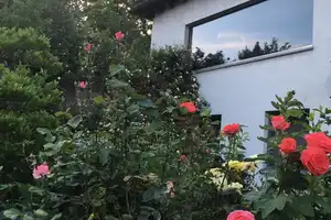 Eindrucksvolles Einfamilienhaus am Waldrand – Einzigartiges Grundstück – Northeim (Kreis) – Vorschaubild 9