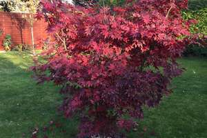 Property thumbnail 28