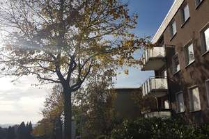 Gepflegte 2-Zimmer Wohnung im 1. OG in Bochum-Linden - WBS erforderlich!