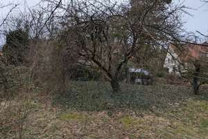 Doppelhaushälfte mit 1.041 m² Grundstück in ruhiger Lage - großes Potenzial in Salzgitter-Bad – Herrmann-Löns-Weg 37, 38259 Salzgitter-Bad, Salzgitter – Vorschaubild 11