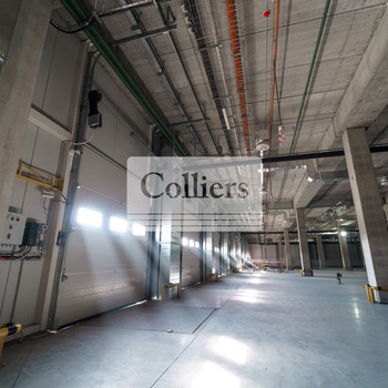 Logistikhalle nahe der A7 | 8.000 m², teilbar | Rampen + ebenerdige Tore