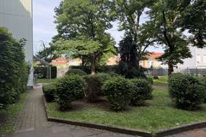 Schöne Aussicht! Helle 2 Zimmerwohnung mit Loggia... – 30179 Vahrenheide, Hannover – Vorschaubild 12