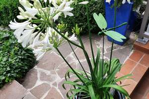Top gepflegtes Reihenmittelhaus mit Garten und Garage in Regenstauf – Am Grasigen Weg 6, 93128 Regenstauf – Vorschaubild 4