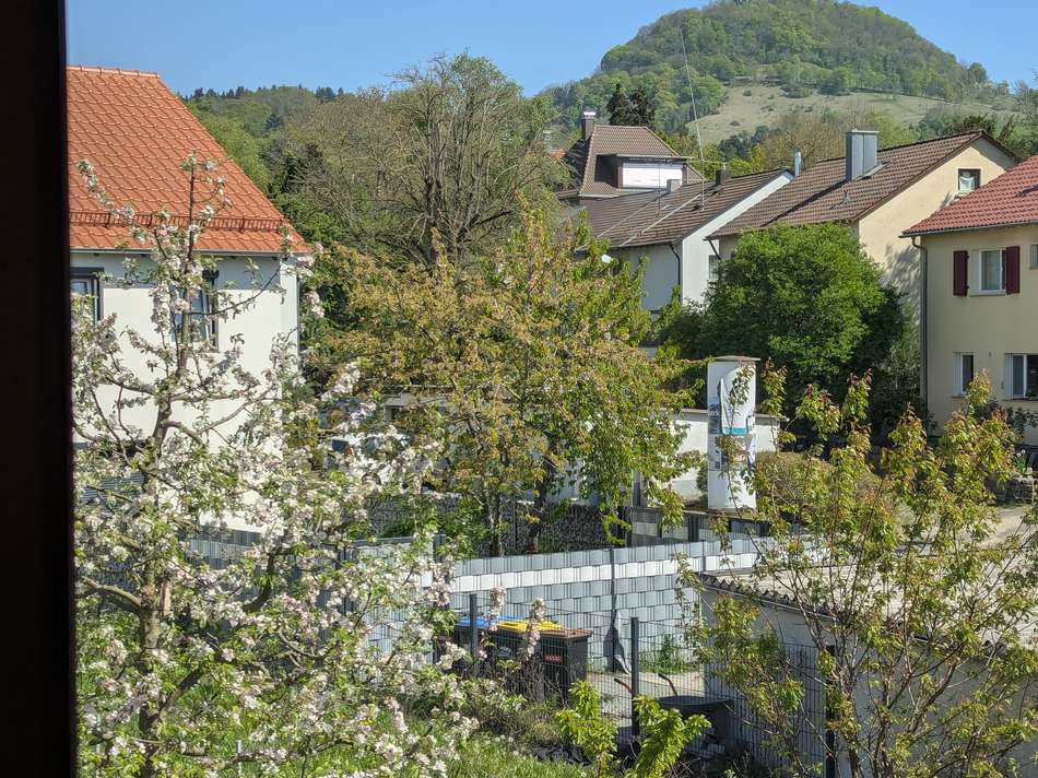Aussicht Ost