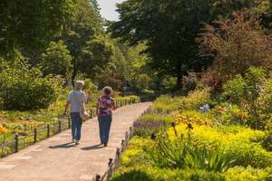 Property thumbnail 14