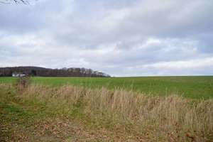 Wohnen mit Weitblick – vielseitiges Einfamilienhaus in Traumlage von Niederzissen – Die vollständige Adresse der Immobilie erhältst du vom Anbieter., 56651 Niederzissen – Vorschaubild 7
