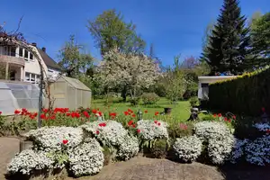 Reduziert! Einfamilienhaus mit Carport und schönem Garten inmitten von Altenkirchen! – Altenkirchen (Westerwald) (Kreis) – Vorschaubild 5
