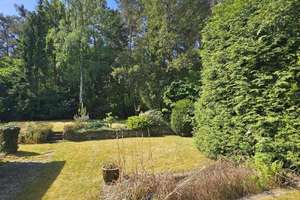 Bungalow in traumhafter Lage und eigenem Wald – Die vollständige Adresse der Immobilie erhältst du vom Anbieter., 63801 Kleinostheim – Vorschaubild 3