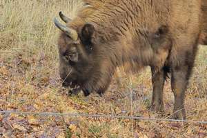 Property thumbnail 52