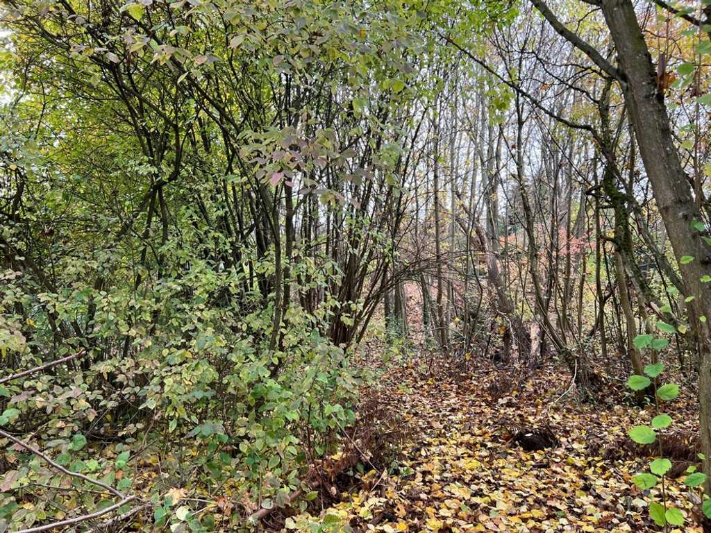 Seltene Gelegenheit: Letztes, unbebautes Villengrundstück am Sallerner Berg in der Riesengebirgstraß