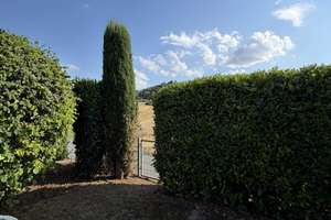 Reihenhaus mit großem Garten in 74223 Flein (Objekt 040/33) – 74223 Flein – Vorschaubild 9
