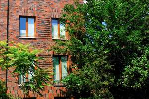 Townhouse mit 310qm Garten 