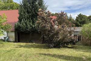 Idyllisches Zuhause mit Gartenparadies – Die vollständige Adresse der Immobilie erhältst du vom Anbieter., 38828 Wegeleben – Vorschaubild 6