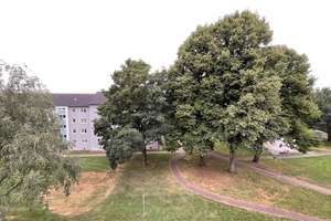 Ab sofort! 3-Zimmer-Wohnung in Dortmund Bövinghausen – 44388 Bövinghausen, Dortmund – Vorschaubild 8