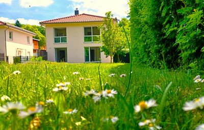 Einfamilienhaus in naturnaher Wohnlage (Privatverkauf – Sofortbezug)