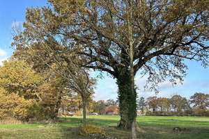 Spannender Resthof in idyllischer Lage mit viel Entwicklungspotential – Die vollständige Adresse der Immobilie erhältst du vom Anbieter., 32469 Petershagen – Vorschaubild 6