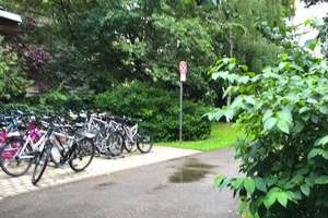 Property thumbnail 13