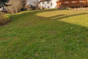Schönes Einfamilienhaus mit großem Gartengrundstück – Friedrichstr. 31, 72131 Tübingen (Kreis) – Vorschaubild 5