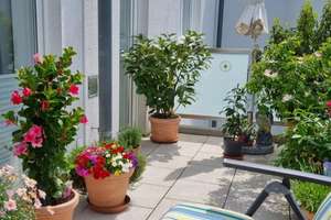 Property thumbnail 23