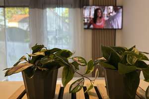 Vollmöblierte 1,5 Zimmer Wohnung zum „Sofort-Einziehen“ – Guerickestr 3a, 93053 Ostenviertel, Regensburg – Vorschaubild 4