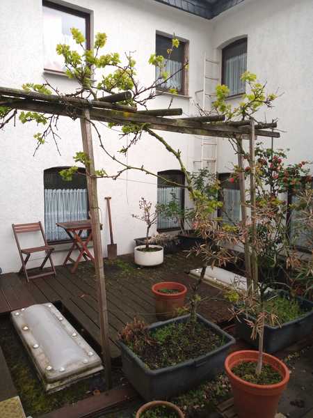 Wohnung in Deutz (Köln) mieten! - Provisionsfreie ...