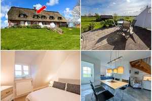 Wohnen auf dem Süderhof unter Reet mit Weitblick über die Insel an Land – Nordfriesland (Kreis) – Vorschaubild 1