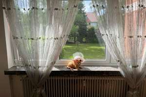 Dreizimmerwohnung in Hannover-Ricklingen zu verkaufen – Die vollständige Adresse der Immobilie erhältst du vom Anbieter., 30459 Ricklingen (Ortsteil), Hannover – Vorschaubild 6