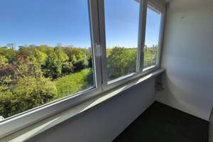 Bezugsfrei: Helle sanierte 3-Zimmer Wohnung in Schönefeld – Die vollständige Adresse der Immobilie erhältst du vom Anbieter., 4347 Schönefeld-Ost, Leipzig – Vorschaubild 2