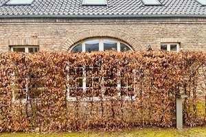 Property thumbnail 16