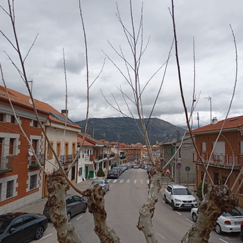 Immobilie zum Verkauf in Robledo de Chavela
