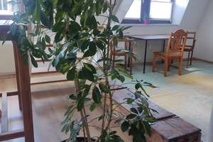 26187 HomeCompany Dresden Möbliert/Furnished 2-Zimmer Maisonette Apartment in Dresden-Neustadt ma... – Die vollständige Adresse der Immobilie erhältst du vom Anbieter., 1097 Leipziger Vorstadt, Dresden – Vorschaubild 12