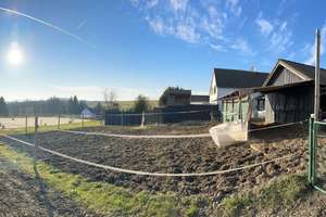 Traum-Gelegenheit! Modernisierter Pferdehof mit über 8.000 qm- Koppeln, Bürofläche &amp; vielen O... – Die vollständige Adresse der Immobilie erhältst du vom Anbieter., 51519 Odenthal – Vorschaubild 37