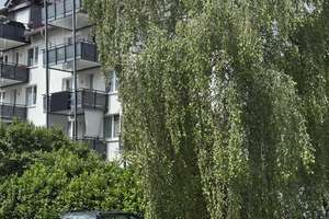 Wunderschön saniert, mit großem Balkon! – Die vollständige Adresse der Immobilie erhältst du vom Anbieter., 33106 Elsen, Paderborn – Vorschaubild 2