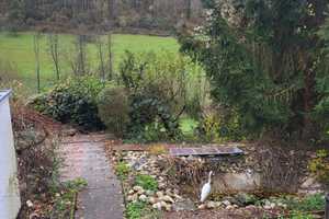 1 Fam- Haus mit Einliegerwohnung, traumhaftes Zuhause im Kochertal – Naturidylle mit Komfort – Lutzenbrunnen 40, 74676 Hohenlohekreis – Vorschaubild 40