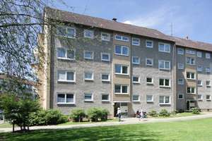Köslinstr. 8, E M - gemütliche Einzimmerwohnung mit Freisitz im Heidberg – Köslinstr. 8, 38124 Heidberg-Melverode, Braunschweig – Vorschaubild 3