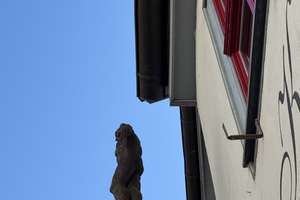 Wohn-/Nfl. ca. 395m² im Historisches Altstadthaus,  mit Abgeschlossenheitsbescheinigung... – 99084 Altstadt, Erfurt – Vorschaubild 2