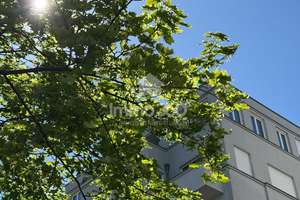 Bezugsfreie Stadtwohnung in Berlin-Mitte – ruhig gelegen und nur wenige Schritte zur Spree – Die vollständige Adresse der Immobilie erhältst du vom Anbieter., 10179 Mitte (Ortsteil), Berlin – Vorschaubild 2