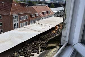 Zentrale Lage: 2-Zimmer-Wohnung zu vermieten – Wilhelminenstr. 10, 24103 Damperhof, Kiel – Vorschaubild 7