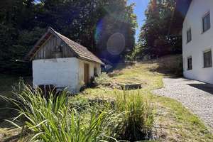 Pferdehof / Bauernhof mit 18.000 m2 nähe Tittling TOP LAGE an der B-85 – Die vollständige Adresse der Immobilie erhältst du vom Anbieter., 94163 Saldenburg – Vorschaubild 4