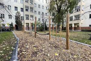 Property thumbnail 18