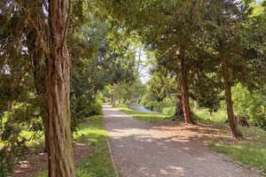 Über den Dächern von Pankow und direkt am Park – Die vollständige Adresse der Immobilie erhältst du vom Anbieter., 13187 Pankow (Ortsteil), Berlin – Vorschaubild 20