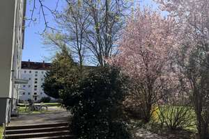 Zuhause mit zwei Zimmern in der Alten Neustadt – Pappelallee 4, 39106 Alte Neustadt, Magdeburg – Vorschaubild 12